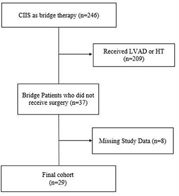 Bridge to nowhere: A retrospective single-center study on patients using chronic intravenous inotropic support as bridge therapy who do not receive surgical therapy